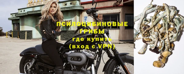 дмт Заполярный