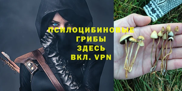 jwh Белокуриха