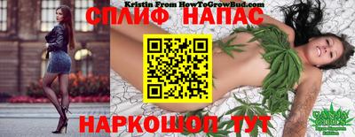 прущие крисы Пушкино