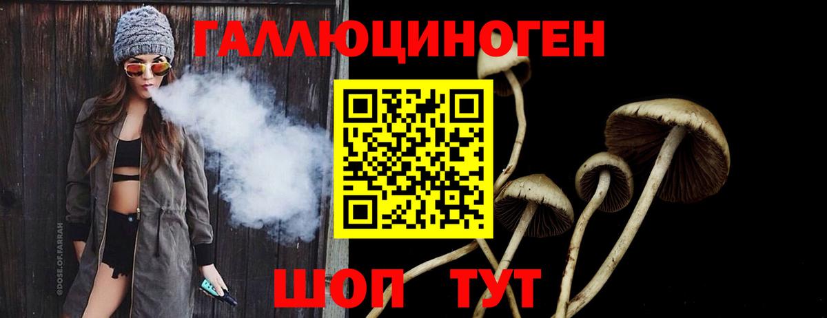 Саяногорск  Псилоцибиновые грибы мицелий  Вход с VPN  Псилоцибиновые грибы MAGIC MUSHROOMS 